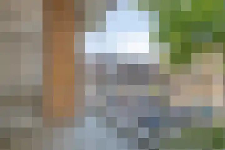 Witte de Withstraat 35 Terneuzen thumbnail 14