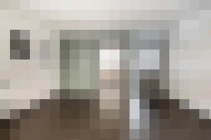 Witte de Withstraat 35 Terneuzen thumbnail 17