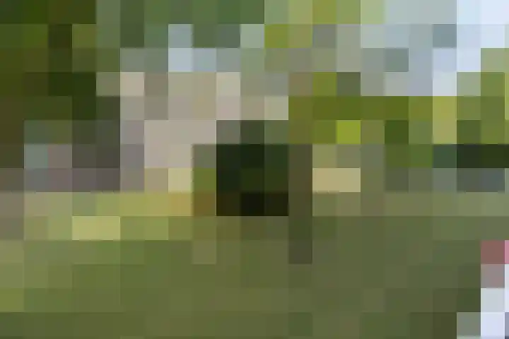 Witte de Withstraat 35 Terneuzen thumbnail 18