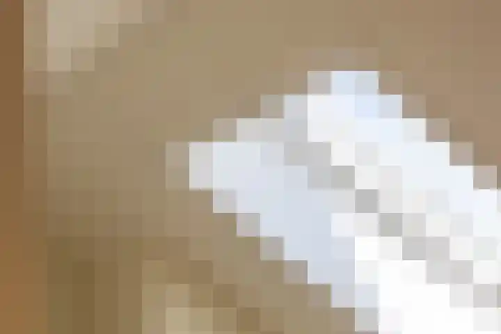 Witte de Withstraat 39 B Rotterdam thumbnail 20