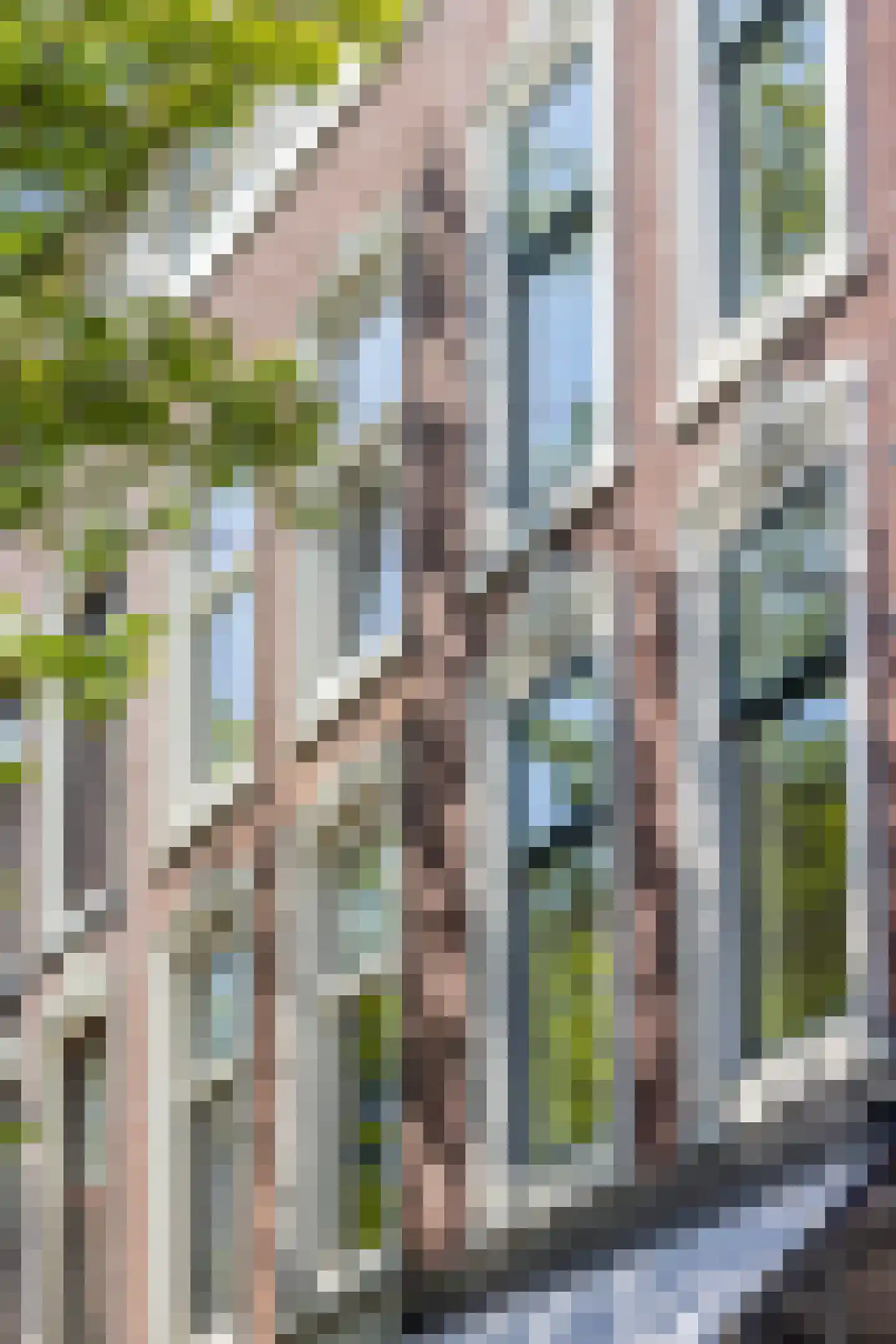 Witte de Withstraat 39 C Rotterdam thumbnail 18