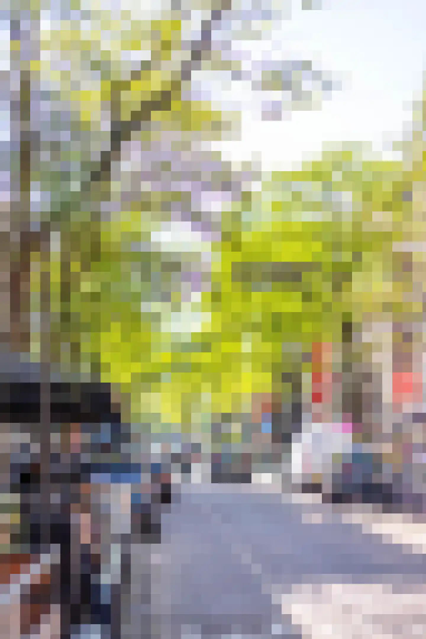 Witte de Withstraat 39 C Rotterdam thumbnail 19