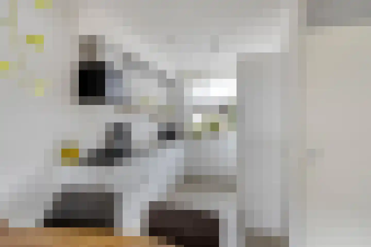 Witte de Withstraat 4 's-Hertogenbosch thumbnail 13