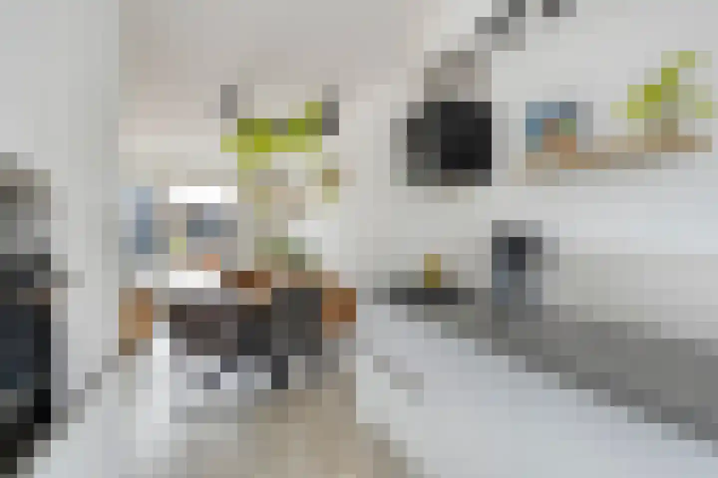 Witte de Withstraat 4 's-Hertogenbosch thumbnail 15