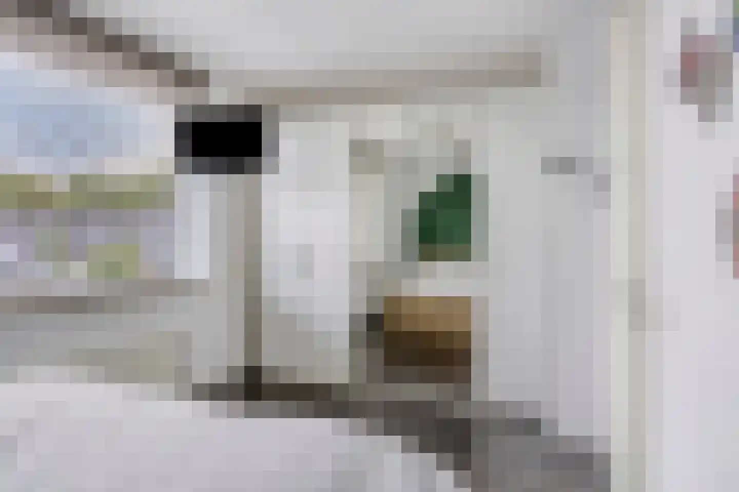 Witte de Withstraat 4 's-Hertogenbosch thumbnail 18