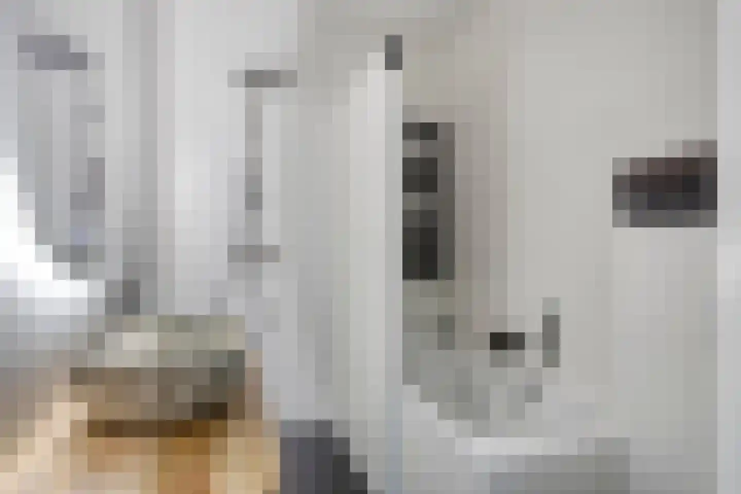 Witte de Withstraat 4 's-Hertogenbosch thumbnail 19