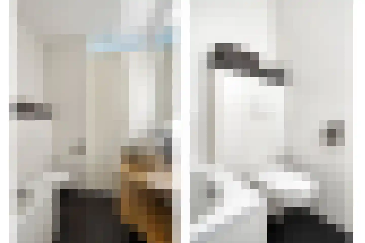 Witte de Withstraat 4 's-Hertogenbosch thumbnail 21