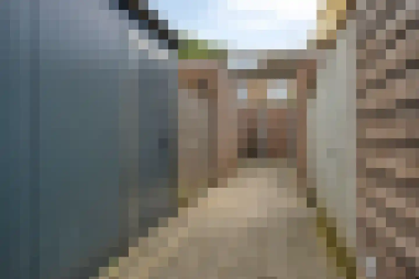 Witte de Withstraat 4 's-Hertogenbosch thumbnail 34