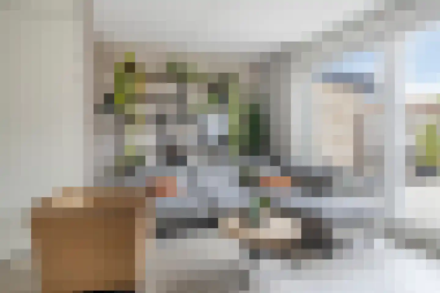 Witte de Withstraat 4 's-Hertogenbosch thumbnail 9