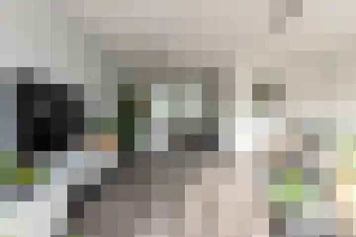 Witte de Withstraat 41 Brielle thumbnail 10