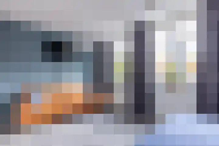Witte de Withstraat 41 Brielle thumbnail 16