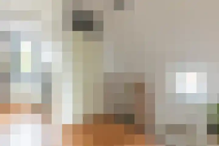 Witte de Withstraat 41 Brielle thumbnail 24