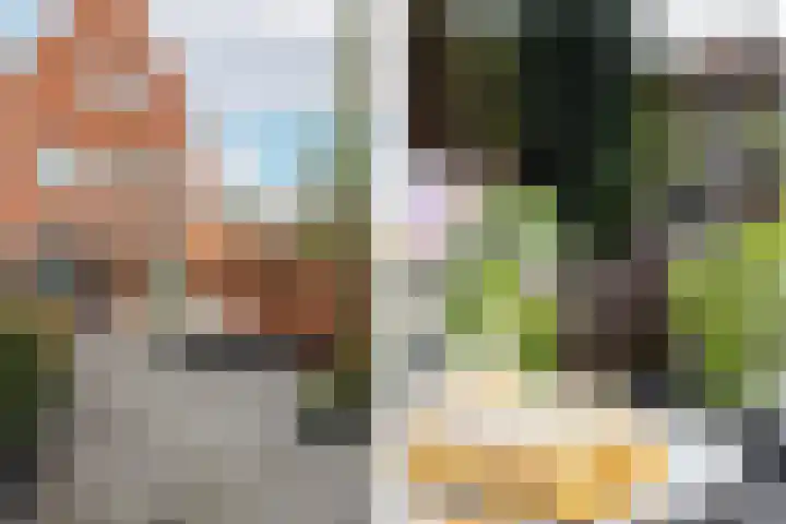 Witte de Withstraat 41 Brielle thumbnail 29
