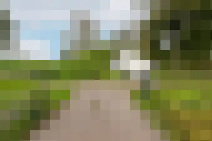 Witte de Withstraat 41 Brielle thumbnail 42