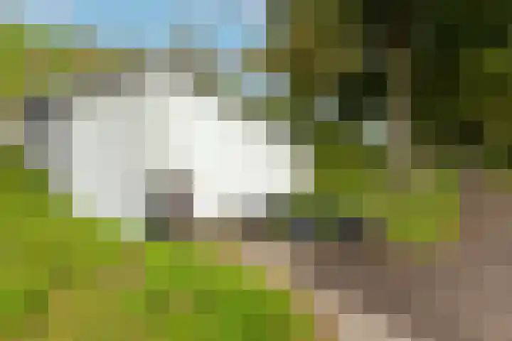 Witte de Withstraat 41 Brielle thumbnail 43