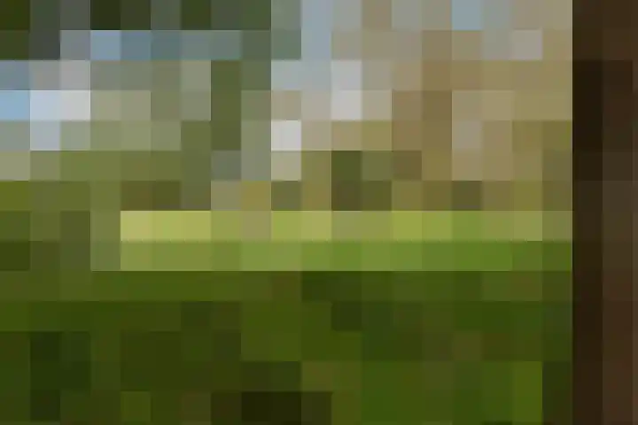 Witte de Withstraat 41 Brielle thumbnail 46