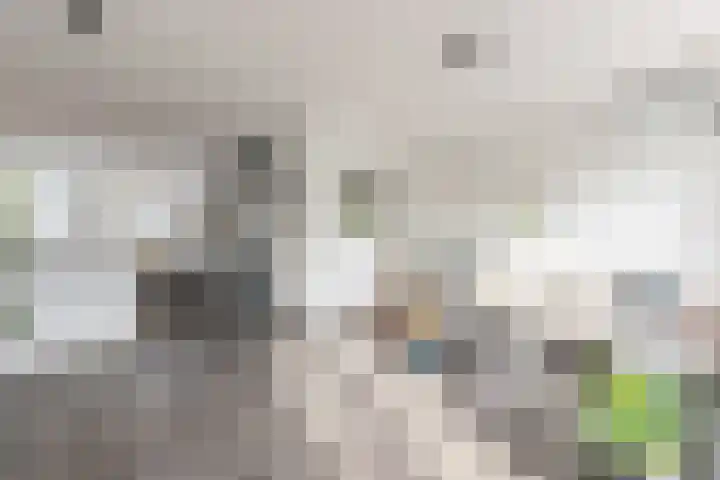 Witte de Withstraat 41 Brielle thumbnail 9