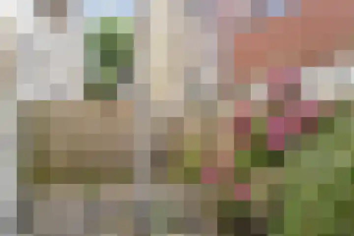 Witte de Withstraat 44 Den Haag thumbnail 17