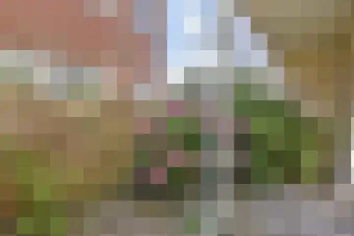 Witte de Withstraat 44 Den Haag thumbnail 18