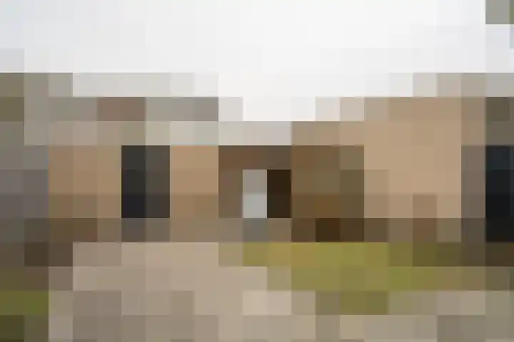 Witte de Withstraat 48 Helmond thumbnail 25