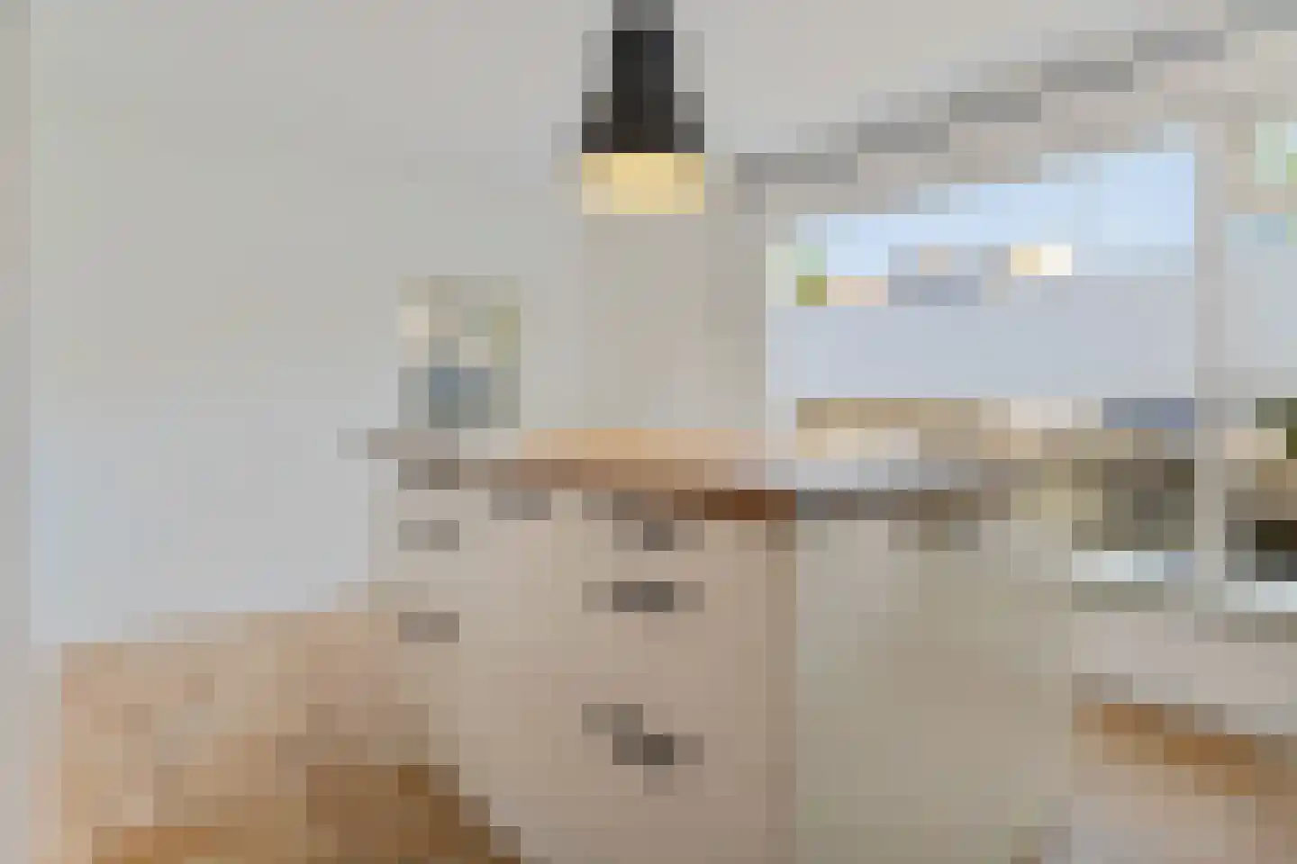 Witte de Withstraat 6 Ommen thumbnail 12