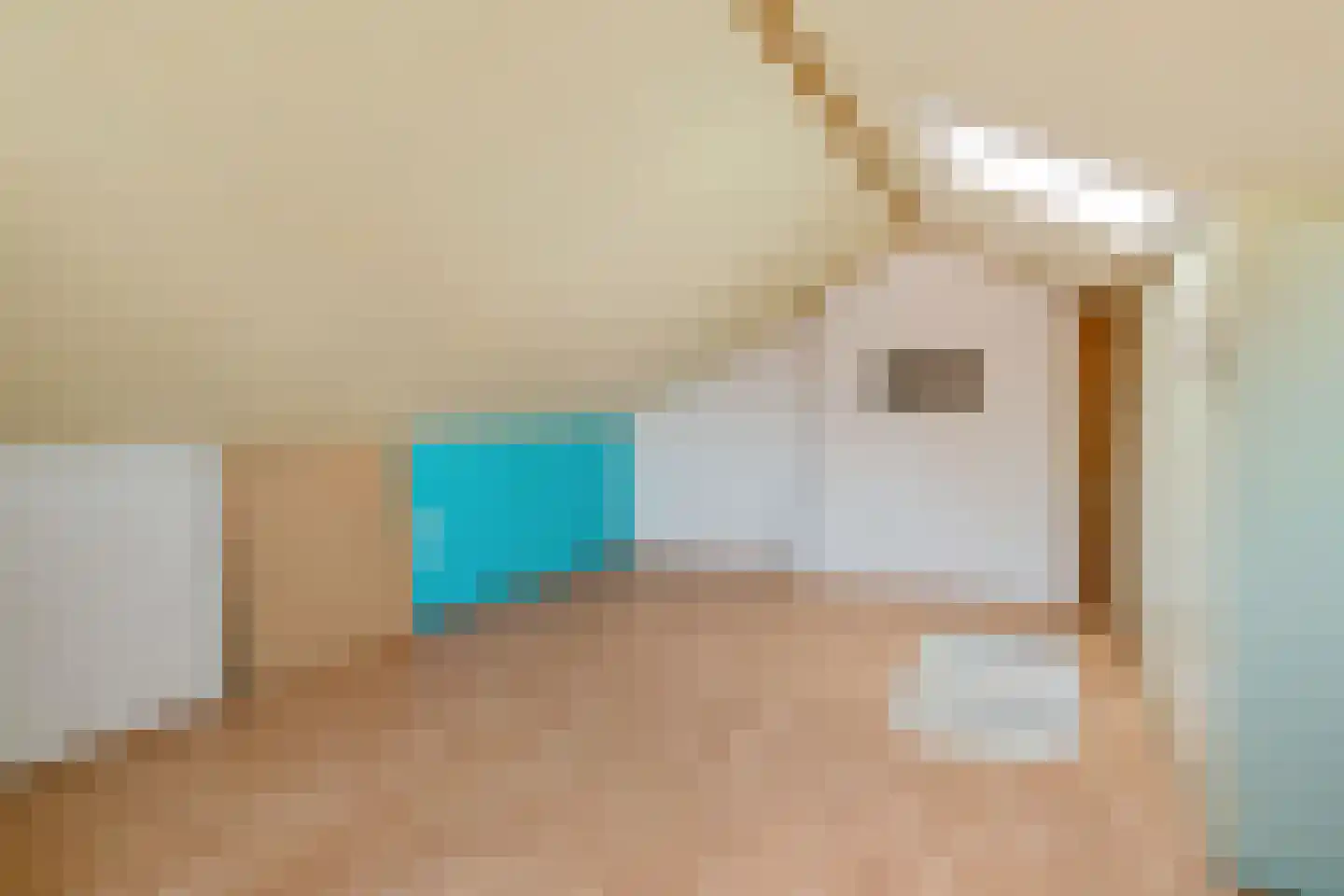Witte de Withstraat 6 Ommen thumbnail 31