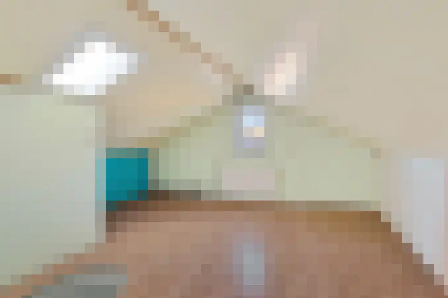 Witte de Withstraat 6 Ommen thumbnail 32