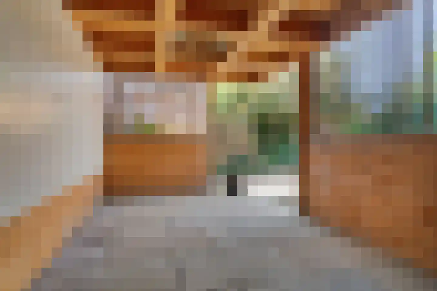 Witte de Withstraat 6 Ommen thumbnail 38