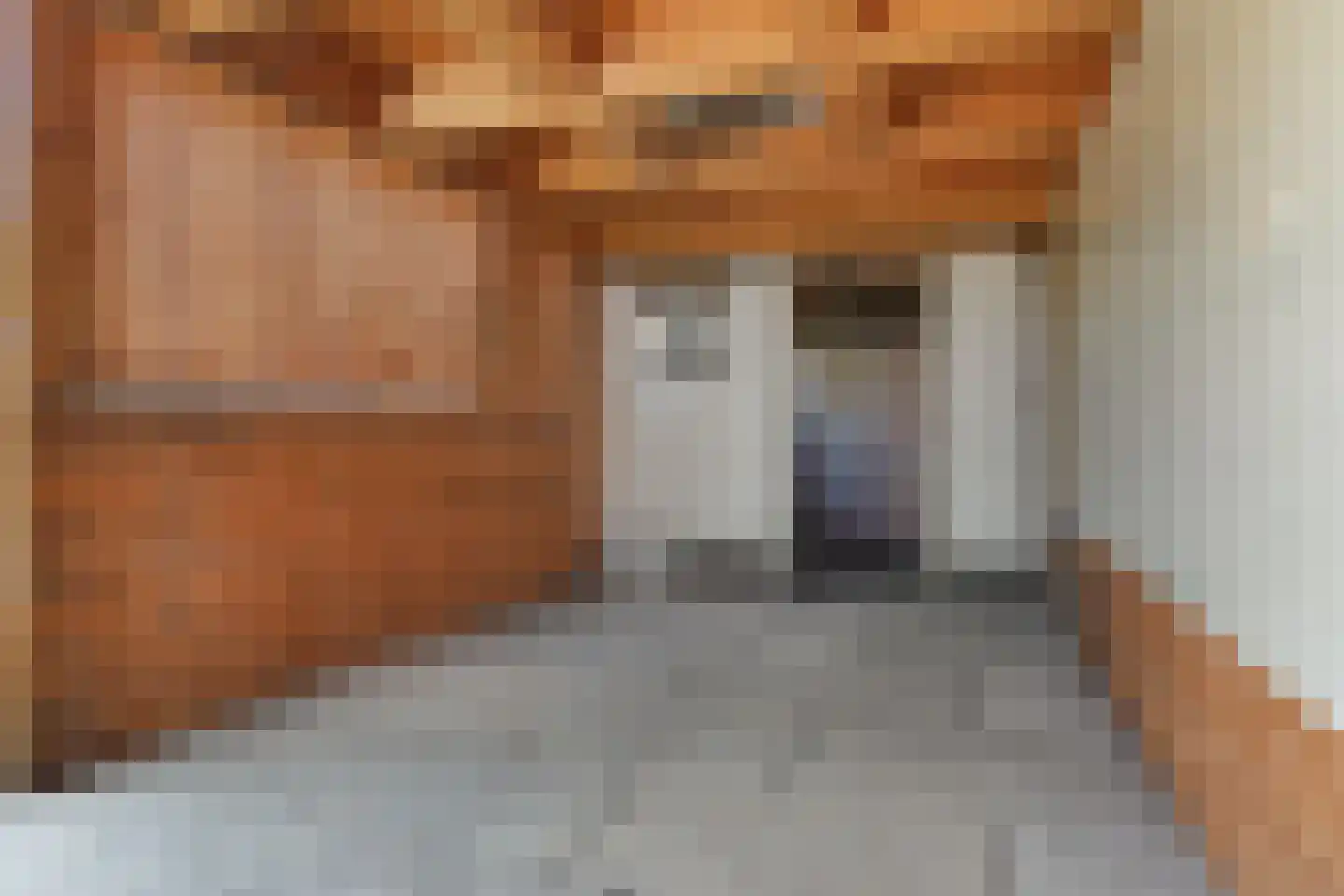 Witte de Withstraat 6 Ommen thumbnail 39