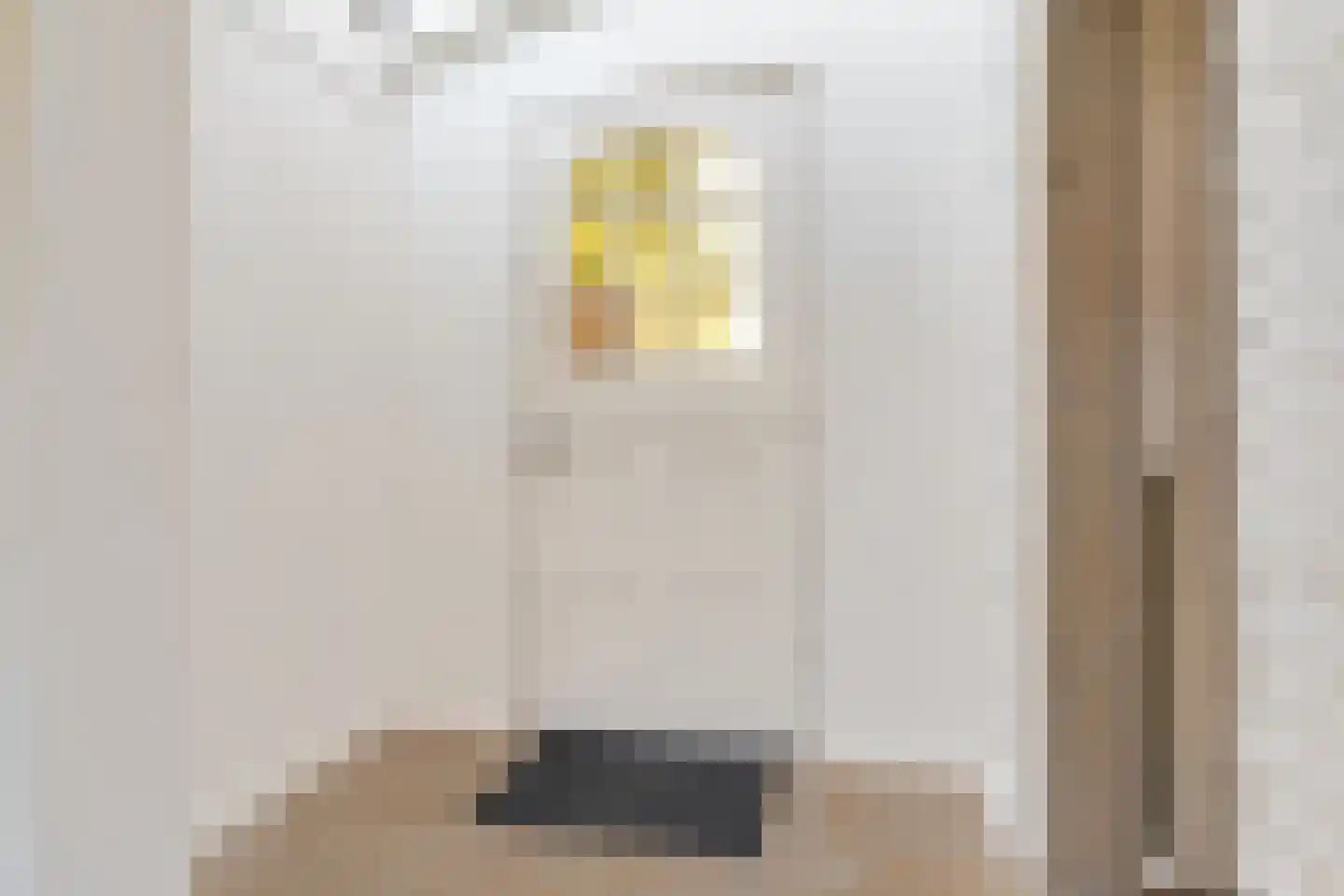 Witte de Withstraat 6 Ommen thumbnail 5