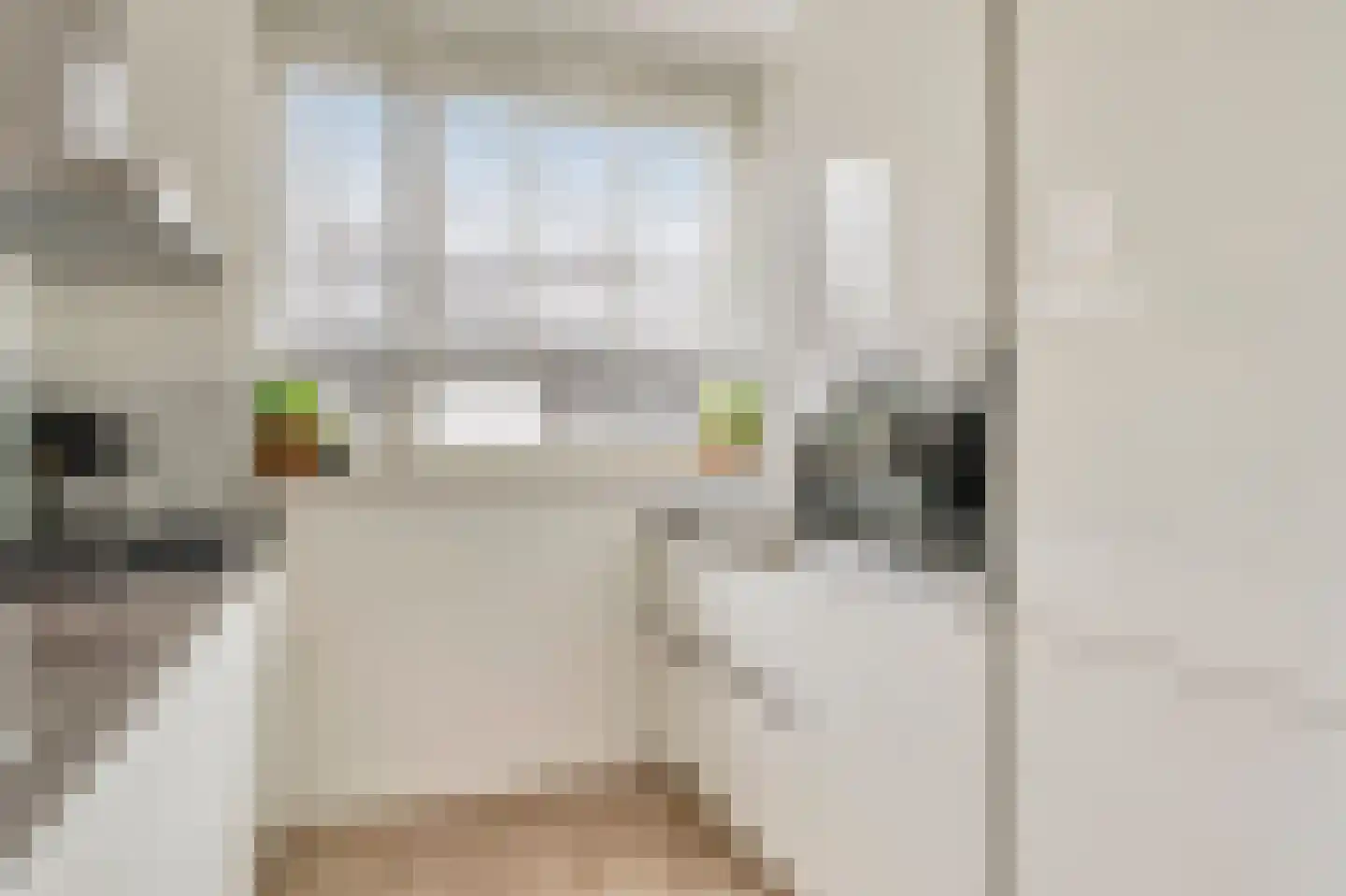 Witte de Withstraat 6 's-Hertogenbosch thumbnail 11