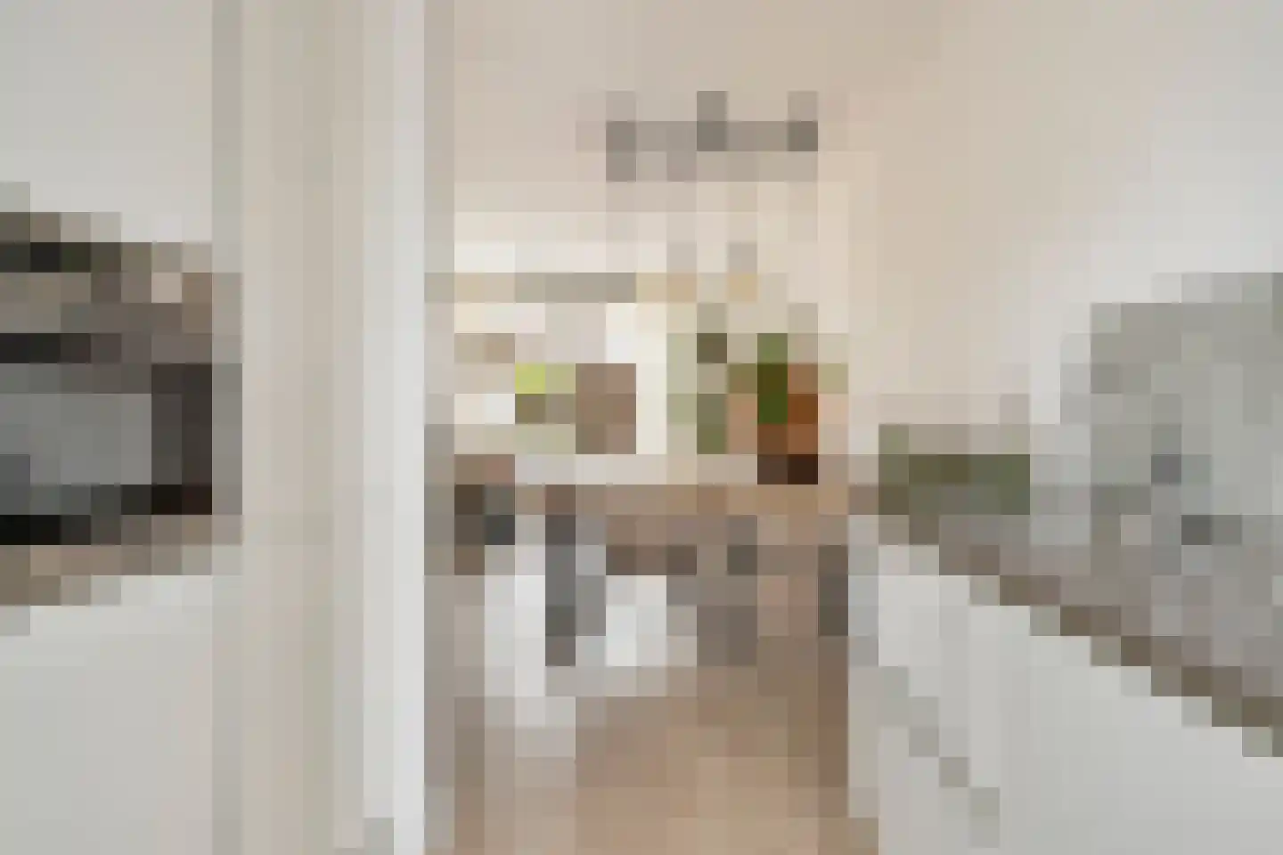 Witte de Withstraat 6 's-Hertogenbosch thumbnail 12