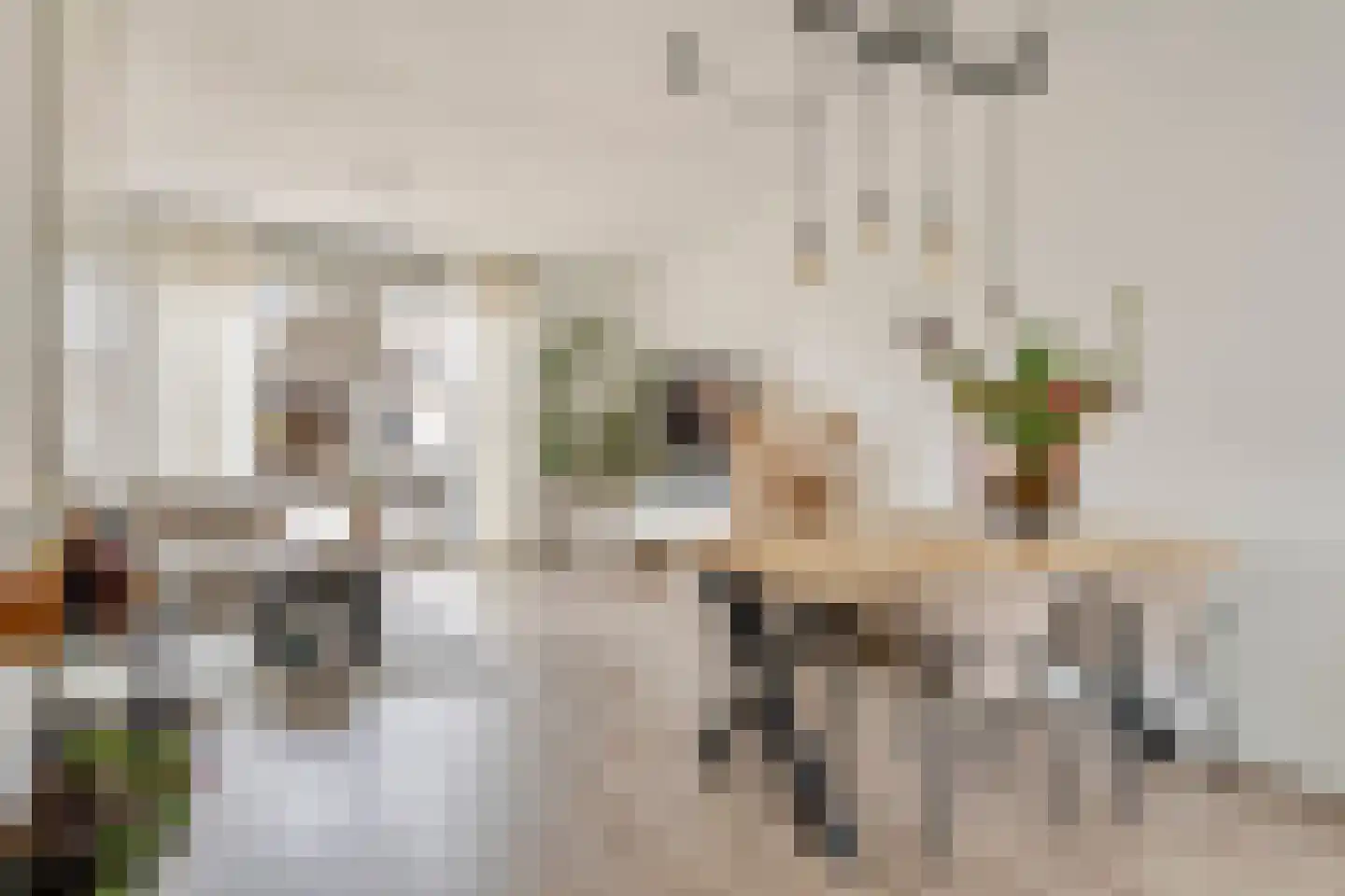 Witte de Withstraat 6 's-Hertogenbosch thumbnail 13