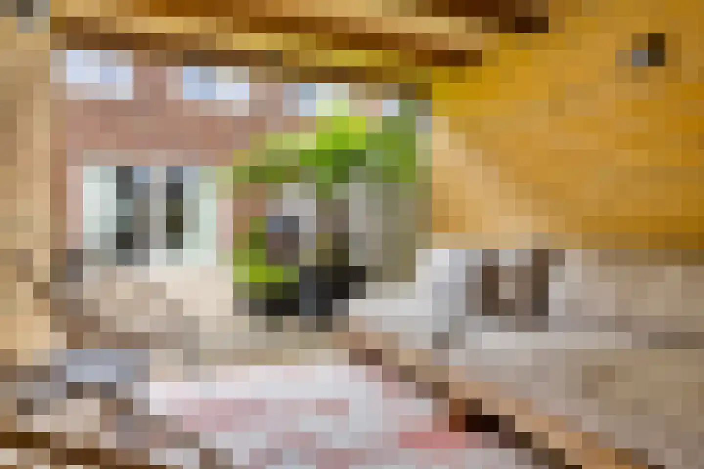 Witte de Withstraat 6 's-Hertogenbosch thumbnail 16