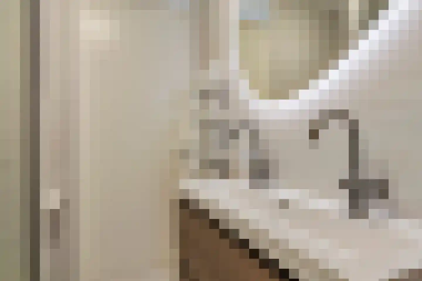 Witte de Withstraat 6 's-Hertogenbosch thumbnail 30