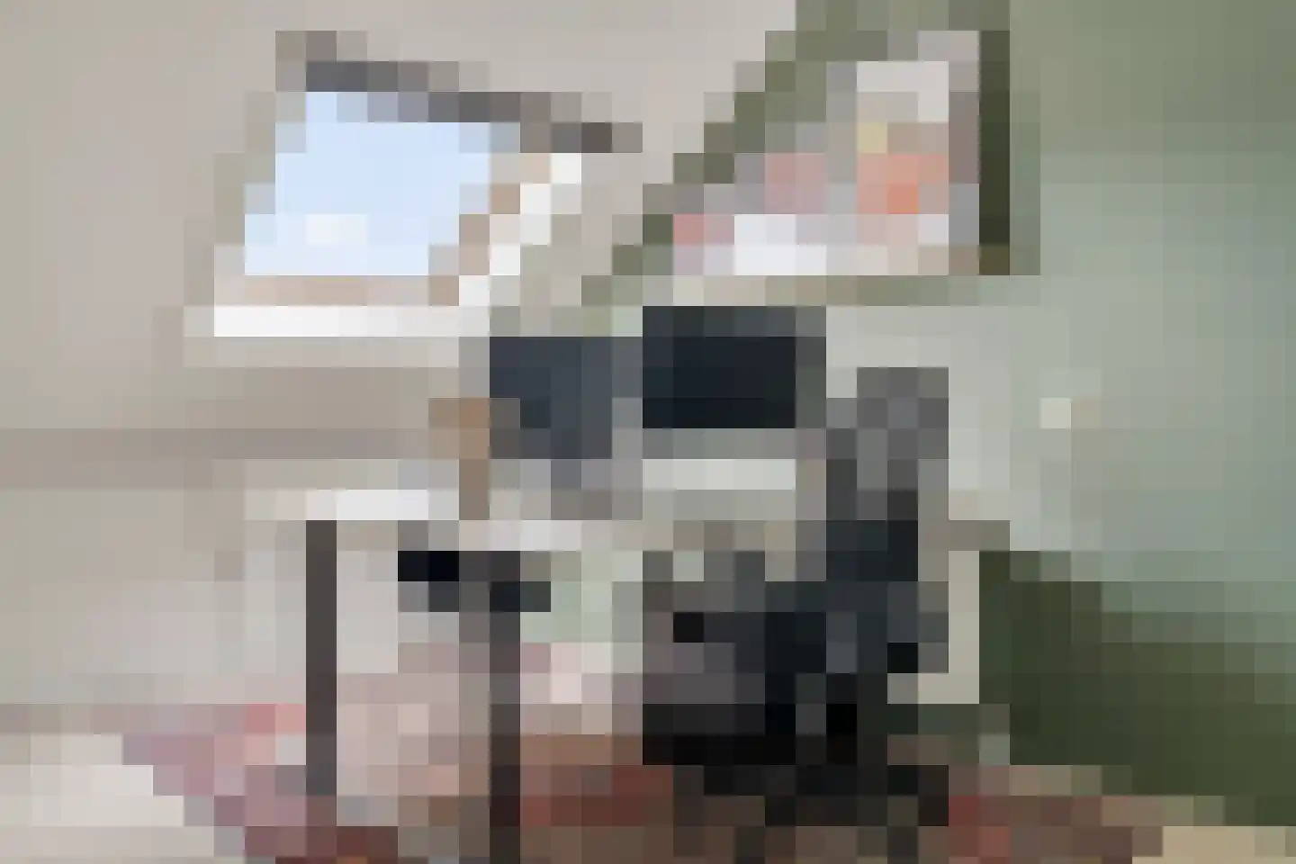 Witte de Withstraat 6 's-Hertogenbosch thumbnail 35