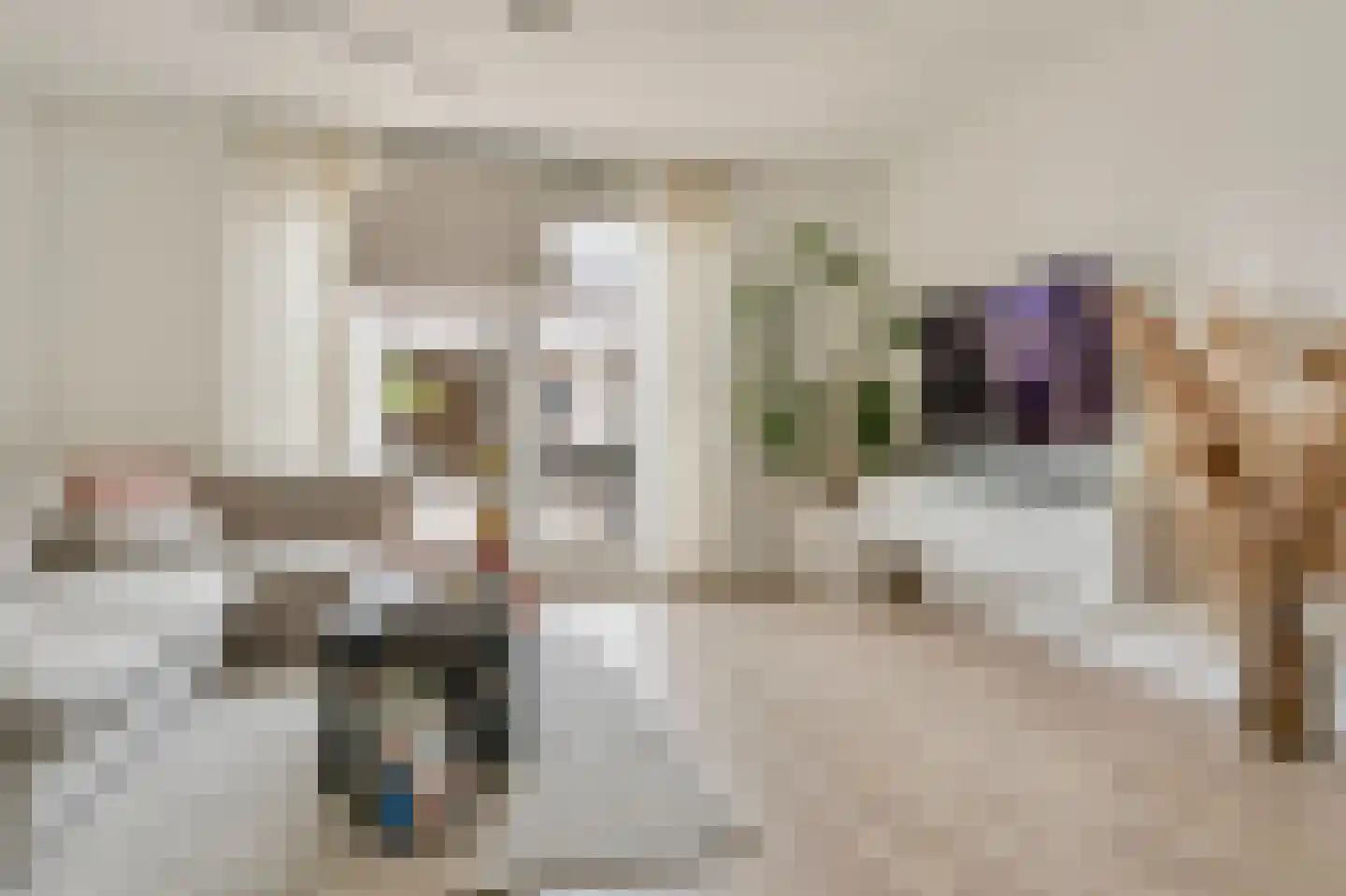Witte de Withstraat 6 's-Hertogenbosch thumbnail 4