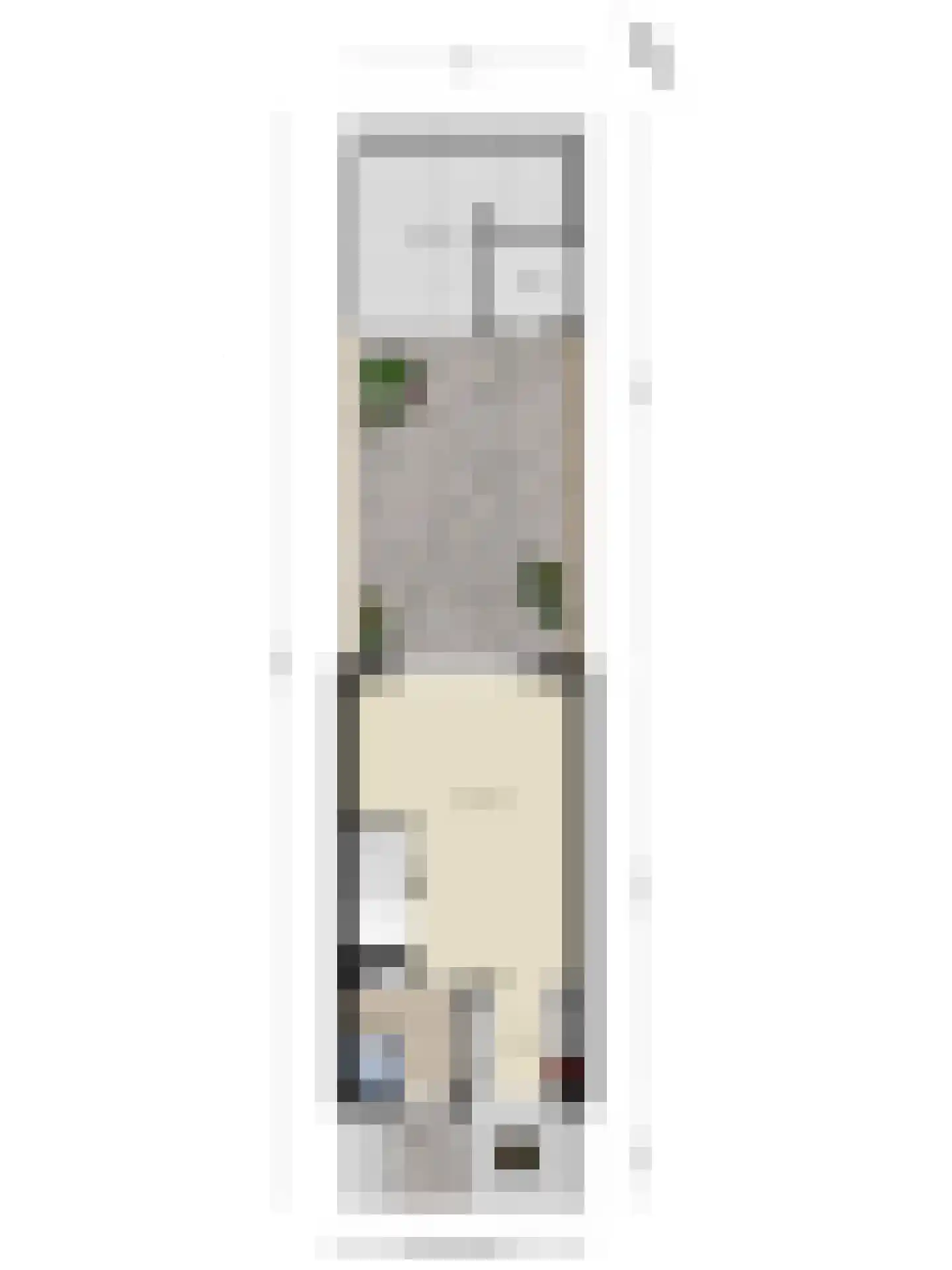 Witte de Withstraat 6 's-Hertogenbosch thumbnail 42