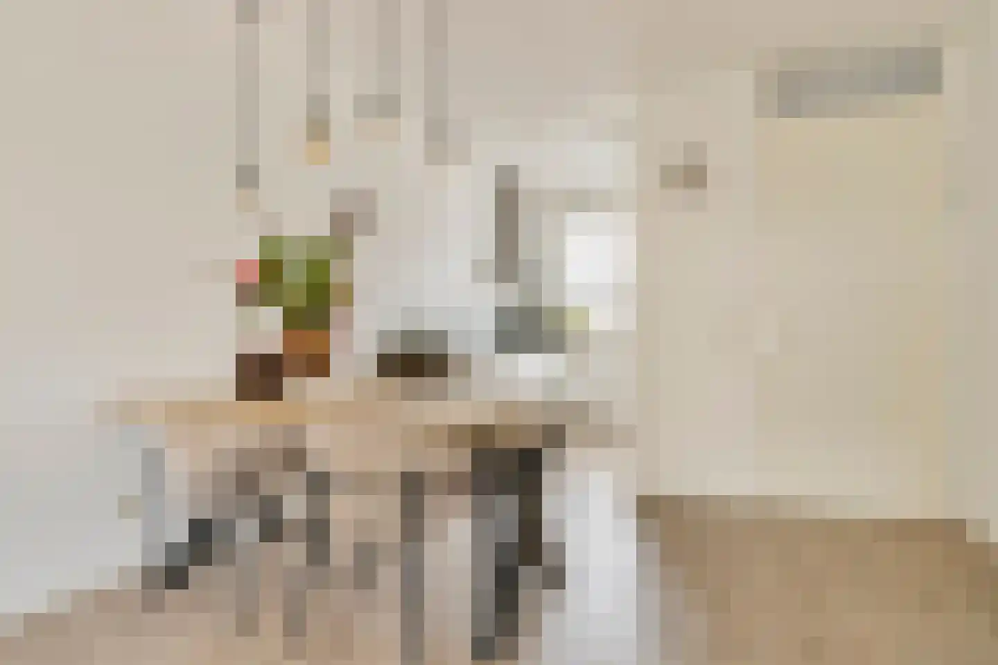 Witte de Withstraat 6 's-Hertogenbosch thumbnail 9