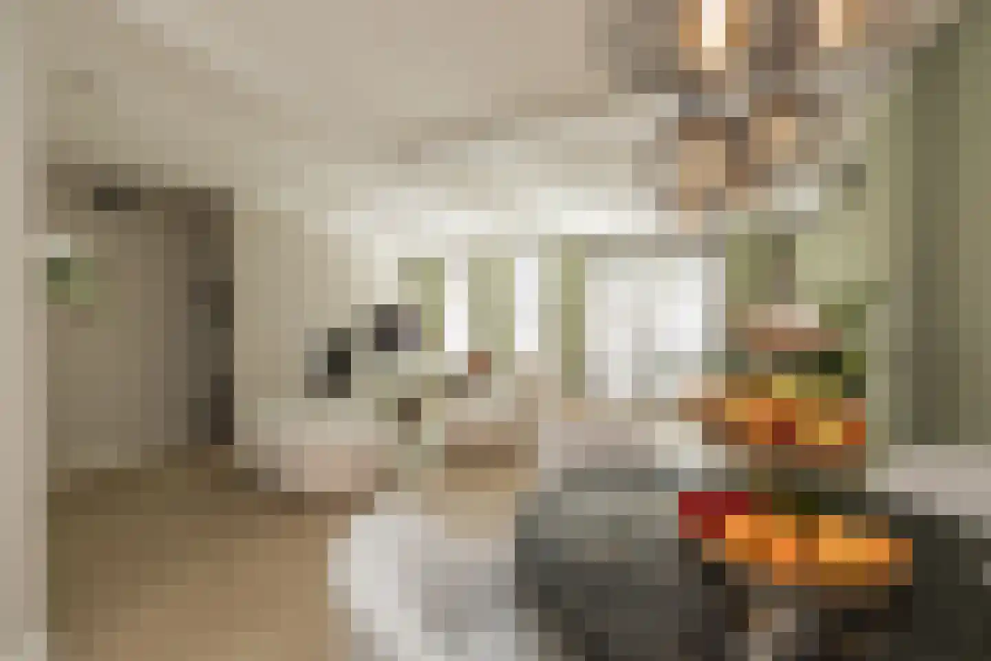 Witte de Withstraat 7 Noordwijk thumbnail 11