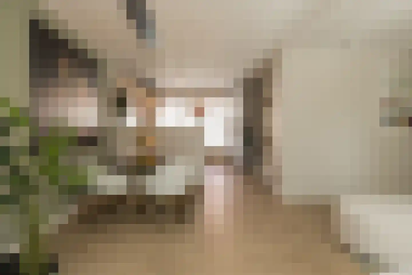Witte de Withstraat 7 Noordwijk thumbnail 14