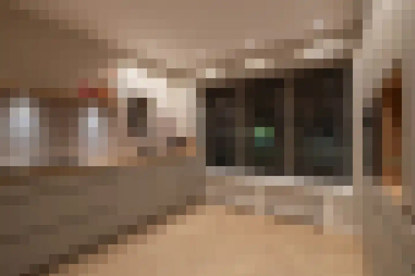 Witte de Withstraat 7 Noordwijk thumbnail 18