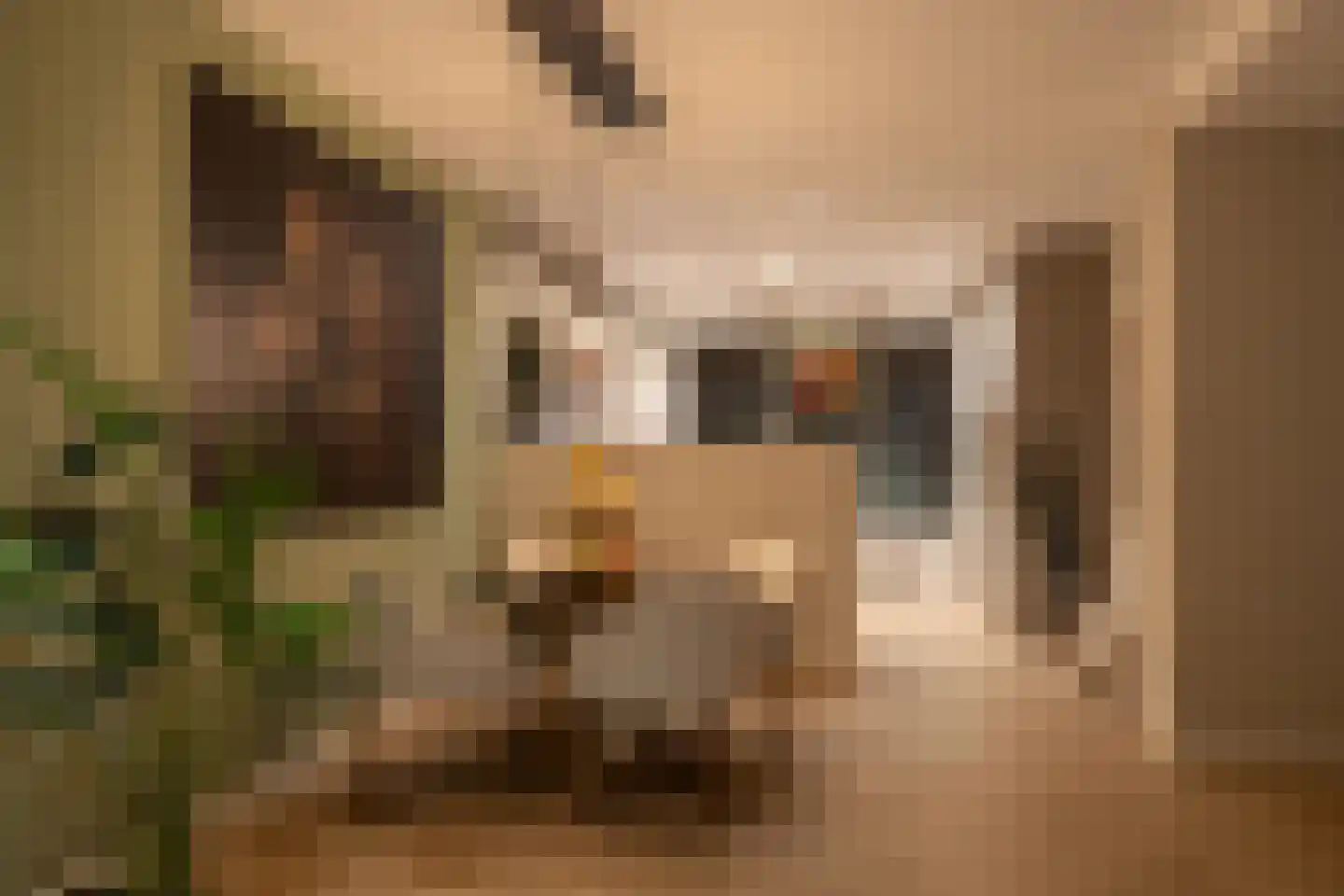 Witte de Withstraat 7 Noordwijk thumbnail 20
