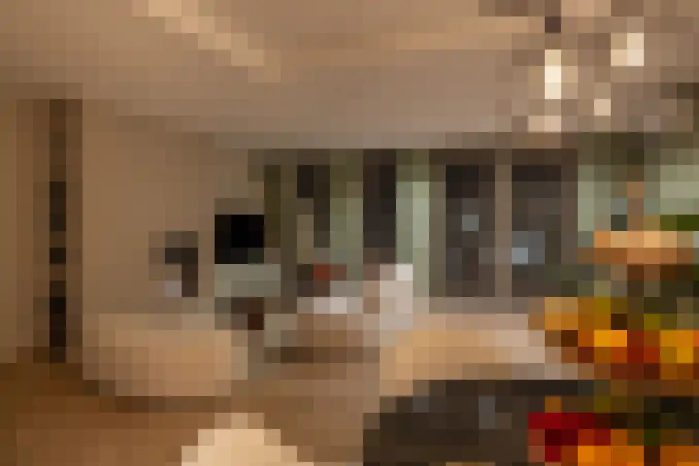 Witte de Withstraat 7 Noordwijk thumbnail 22