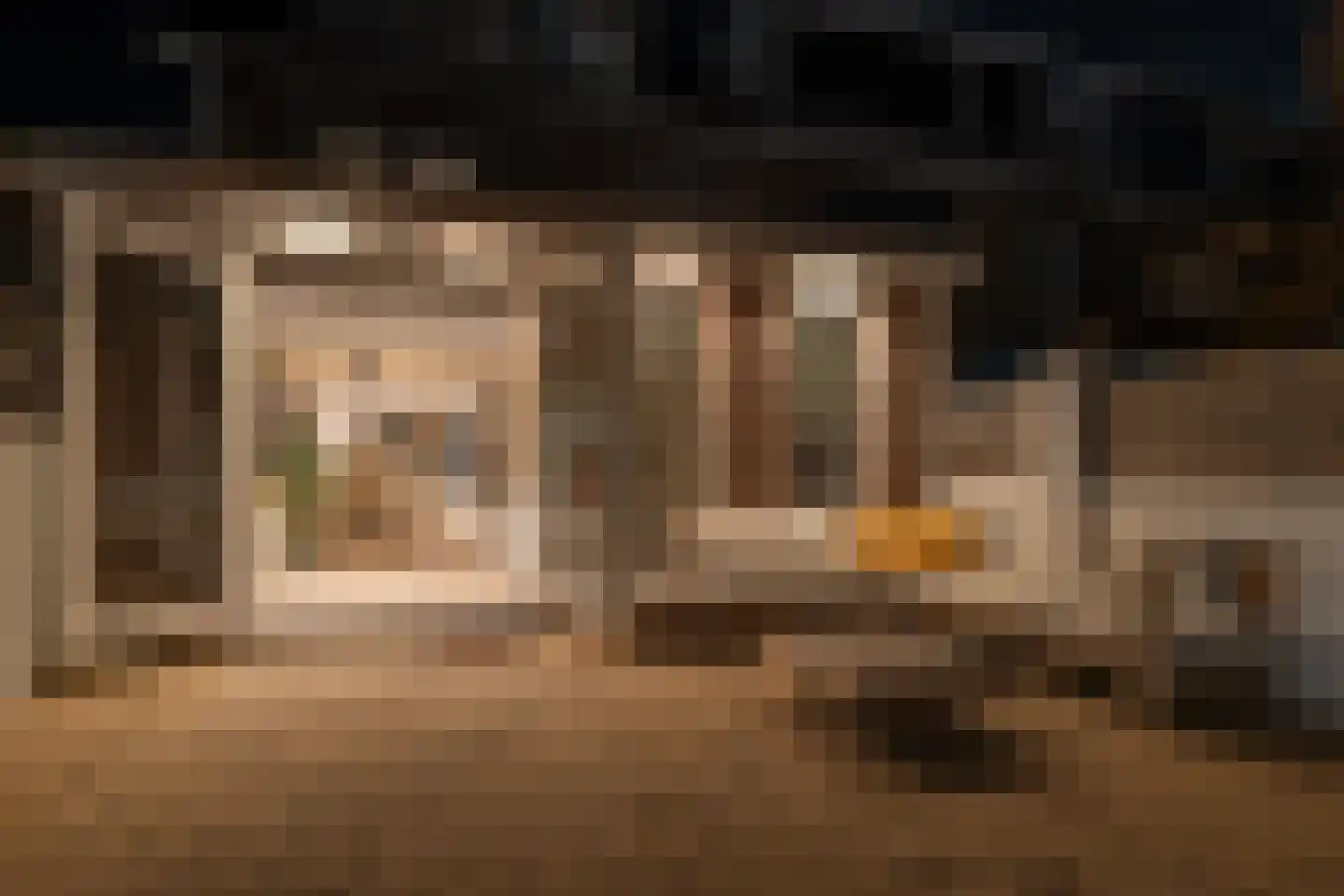 Witte de Withstraat 7 Noordwijk thumbnail 23