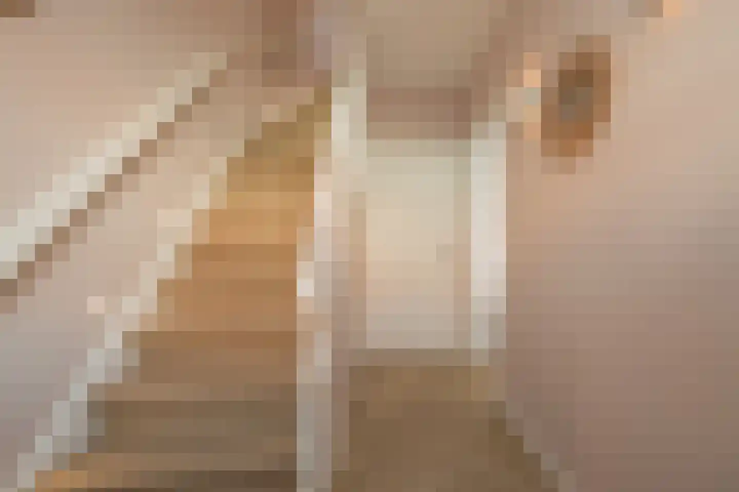Witte de Withstraat 7 Noordwijk thumbnail 28
