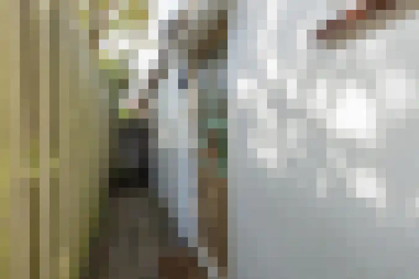 Witte de Withstraat 7 Noordwijk thumbnail 41
