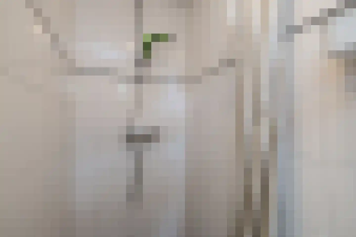 Witte de Withstraat 7 Noordwijk thumbnail 46