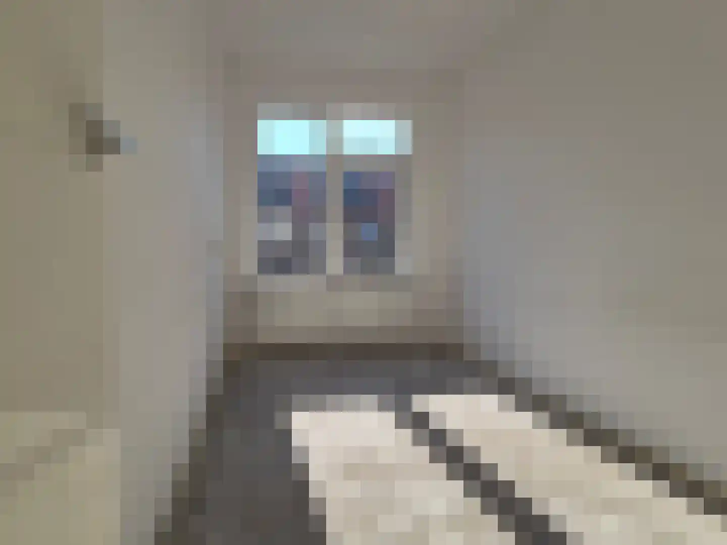 Witte de Withstraat 74 Alphen aan den Rijn thumbnail 15