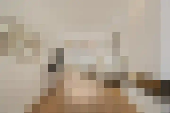 Witte de Withstraat 8 Noordwijk thumbnail 12